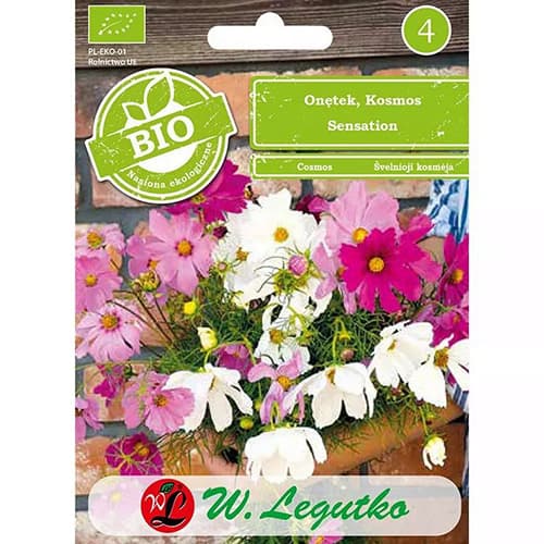 Schmuckkörbchen Mischung interface.art Bild 1 Schmuckkörbchen Mischung interface.image 1 interface.art 87085