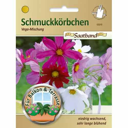 Schmuckkörbchen Vega Mischung Chrestensen  interface.image 1 interface.art 50027