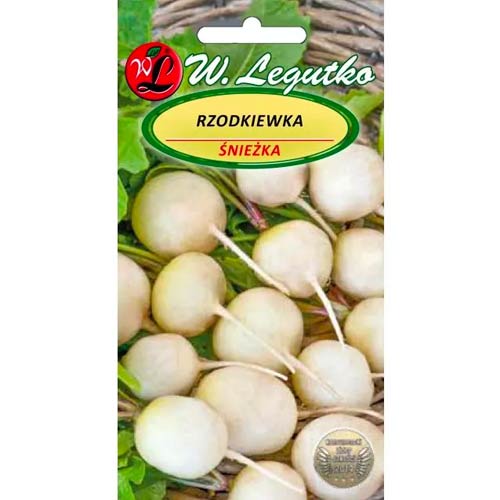 Schneeweißer Rettich Legutko interface.art Bild 1 Schneeweißer Rettich Legutko interface.image 1 interface.art 50141