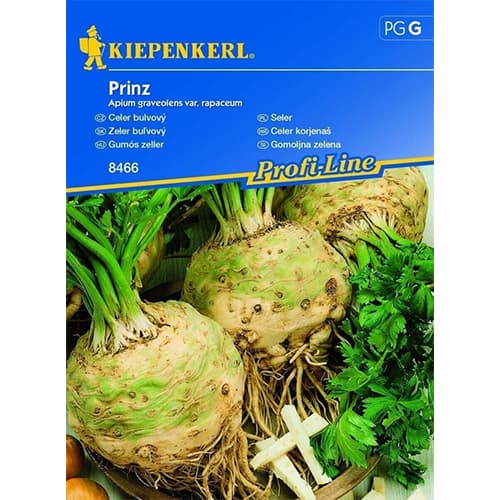 Knollensellerie Prinz interface.art Bild 1 Knollensellerie Prinz interface.image 1 interface.art 86526