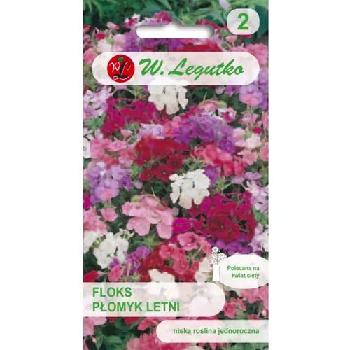 Sommer-Phlox, mischung Legutko interface.image 1 interface.art 69589