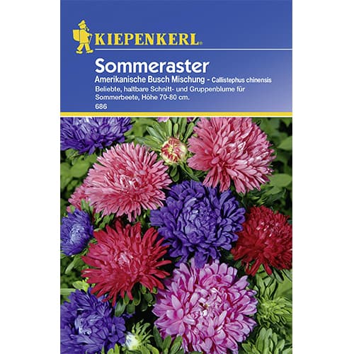 Sommeraster Amerikanische Busch Mischung interface.art Bild 1 Sommeraster Amerikanische Busch Mischung interface.image 1 interface.art 77426