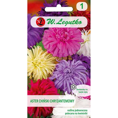 Sommeraster Mischung interface.art Bild 1 Sommeraster Mischung interface.image 1 interface.art 78511