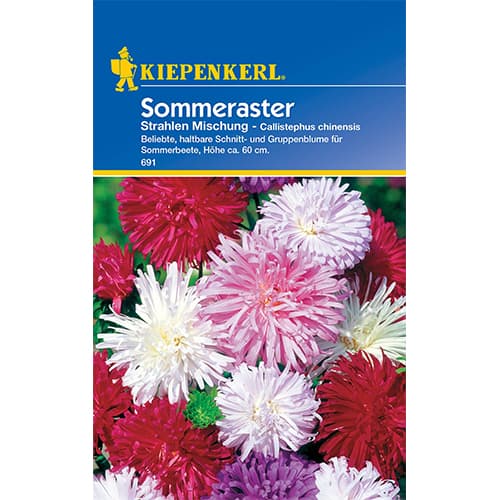 Sommeraster Strahlen Mischung Kiepenkerl interface.image 1 interface.art 50063