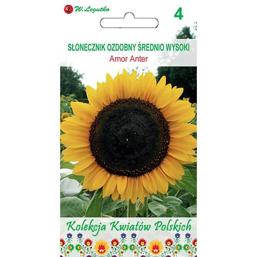 Sonnenblume Amor Anter interface.image 1 interface.art 86733