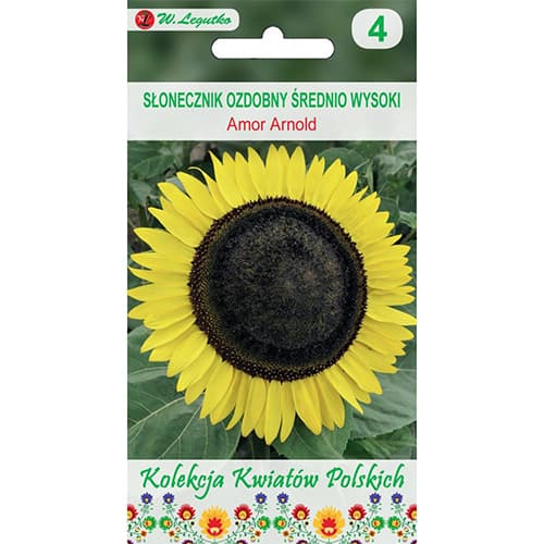 Sonnenblume Amor Arnold interface.art Bild 1 Sonnenblume Amor Arnold interface.image 1 interface.art 86731