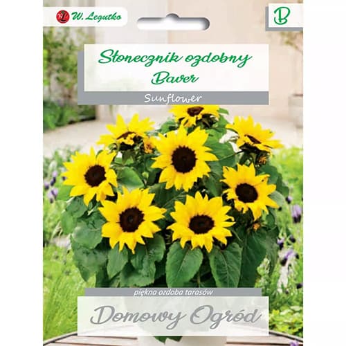 Sonnenblume Baver interface.image 1 interface.art 69662