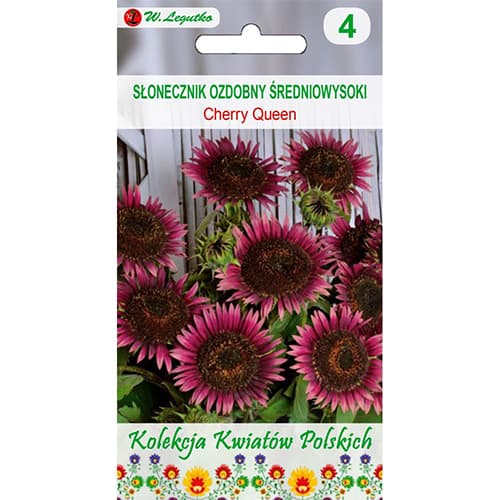 Sonnenblume Cherry Queen interface.image 1 interface.art 96749