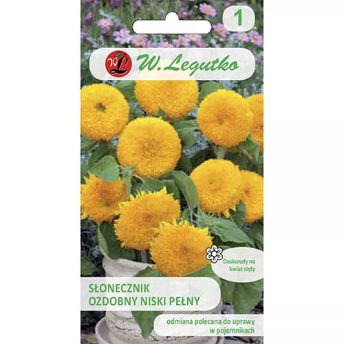 Sonnenblume Teddy Bear interface.image 1 interface.art 69629