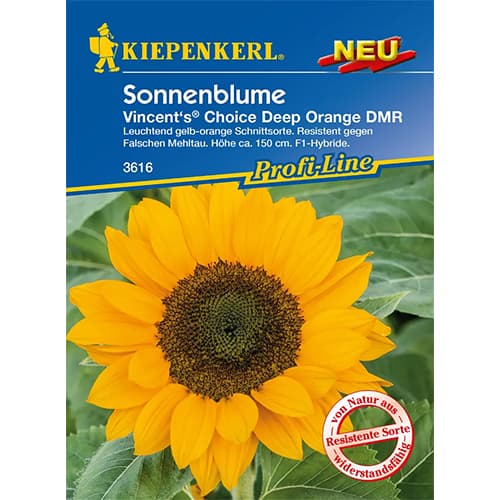 Sonnenblume Vincent's® Deep Orange DMR F1 interface.art Bild 1 Sonnenblume Vincent's® Deep Orange DMR F1 interface.image 1 interface.art 87759