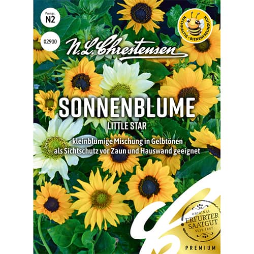 Sonnenblume Little Star interface.image 1 interface.art 86189