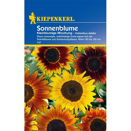 Sonnenblume Kleinblumige Mischung interface.art Bild 1 Sonnenblume Kleinblumige Mischung interface.image 1 interface.art 77407