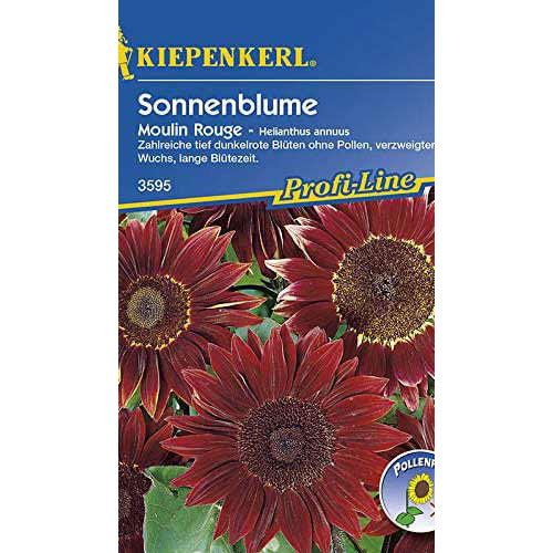 Sonnenblumen Moulin Rouge interface.image 1 interface.art 86325