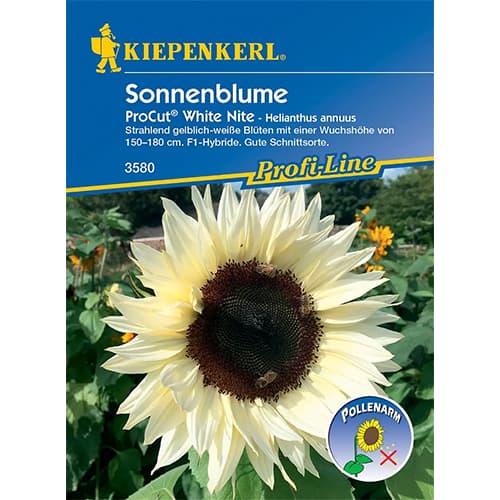 Sonnenblume Pro Cut® White Nite F1 interface.image 1 interface.art 86327