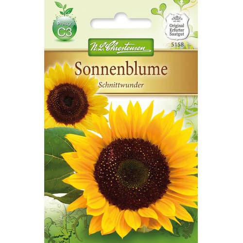 Sonnenblume Schnittwunder interface.image 1 interface.art 78916