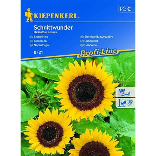Sonnenblume Schnittwunder Kiepenkerl interface.art Bild 1 Sonnenblume Schnittwunder Kiepenkerl interface.image 1 interface.art 96540