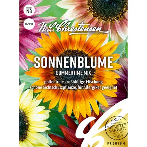 Sonnenblume Summertime Mischung interface.image 1 interface.art 86193