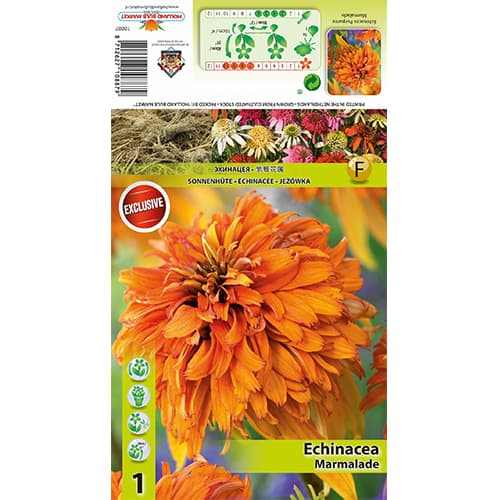 Sonnenhut Marmalade interface.image 1 interface.art 77832