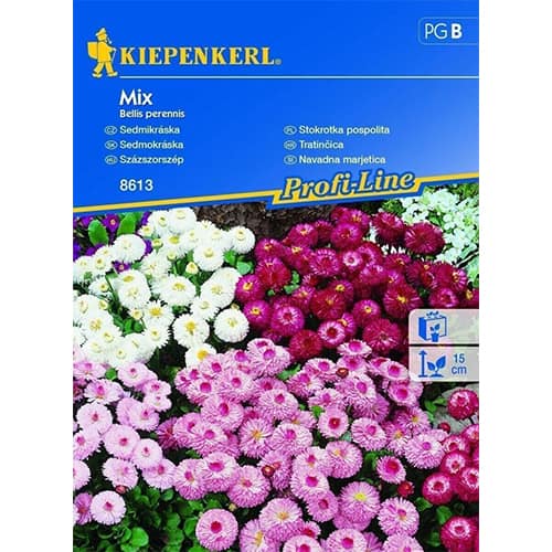 Gänseblümchen Gefüllte Mischung interface.image 1 interface.art 86255