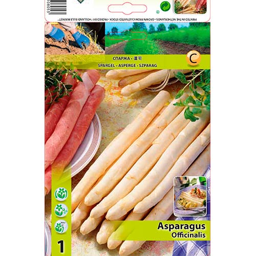 Spargel (Asparagus) interface.art Bild 1 Spargel (Asparagus) interface.image 1 interface.art 70501