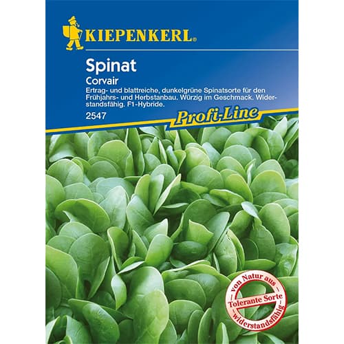 Spinat Corvair F1 Kiepenkerl interface.art Bild 1 Spinat Corvair F1 Kiepenkerl interface.image 1 interface.art 86533