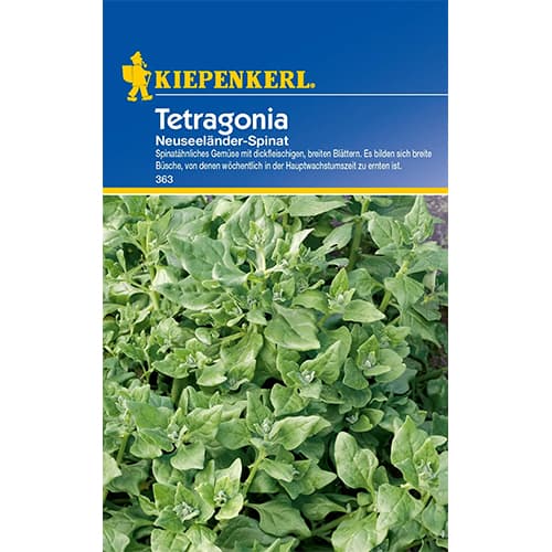 Spinat - Tetragonia Neuseeländer interface.art Bild 1 Spinat - Tetragonia Neuseeländer interface.image 1 interface.art 77497