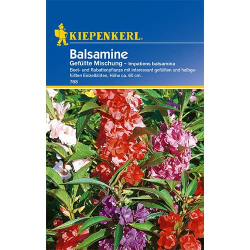 Balsamine Gefüllte Mischung interface.art Bild 1 Balsamine Gefüllte Mischung interface.image 1 interface.art 77436