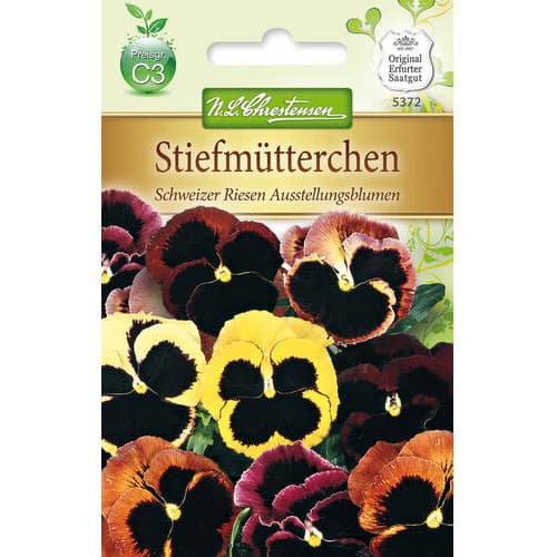 Stiefmütterchen Schweizer Riesen Ausstellungsblumen interface.art Bild 1 Stiefmütterchen Schweizer Riesen Ausstellungsblumen interface.image 1 interface.art 78967