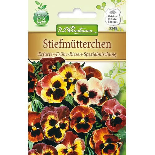 Stiefmütterchen Frühe Riesen Spezial interface.art Bild 1 Stiefmütterchen Frühe Riesen Spezial interface.image 1 interface.art 78964