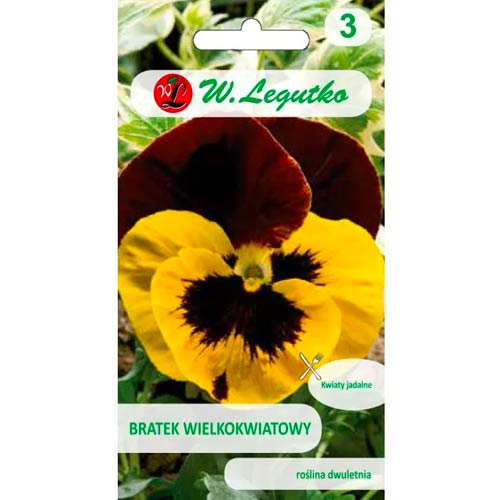 Stiefmütterchen Red Wings Legutko interface.image 1 interface.art 96736