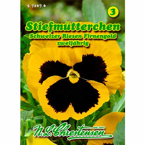 Stiefmütterchen Schweizer Riesen Firnengold Chrestensen  interface.image 1 interface.art 50038