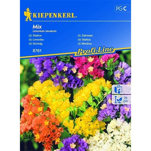 Strandflieder Statice Mischung interface.art Bild 1 Strandflieder Statice Mischung interface.image 1 interface.art 96559