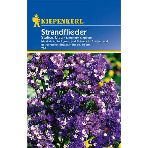 Strandflieder Statice blau interface.art Bild 1 Strandflieder Statice blau interface.image 1 interface.art 77420