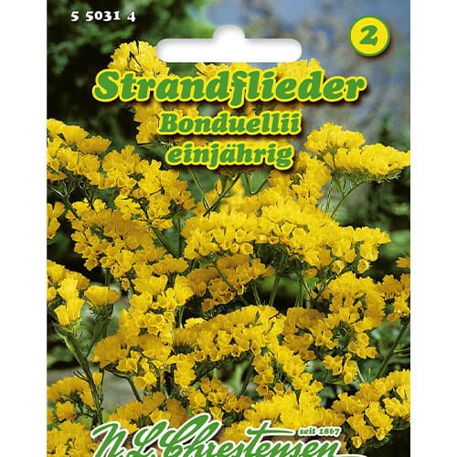 Strandflieder Bonduellii interface.art Bild 1 Strandflieder Bonduellii interface.image 1 interface.art 86164