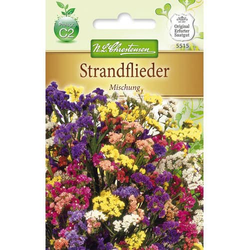 Strandflieder Mischung interface.image 1 interface.art 78979