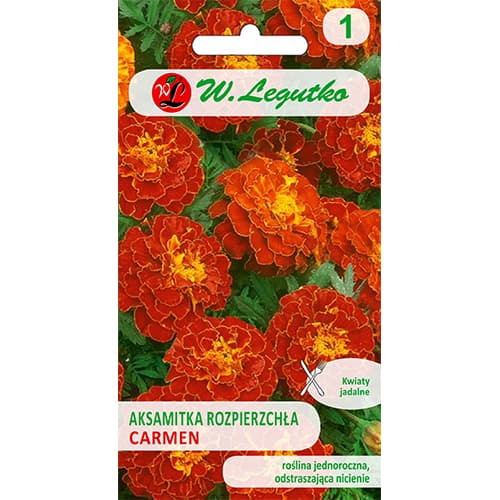 Studentenblume Carmen rot interface.art Bild 1 Studentenblume Carmen rot interface.image 1 interface.art 87854