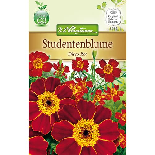 Studentenblume Disco Rot interface.art Bild 1 Studentenblume Disco Rot interface.image 1 interface.art 78745