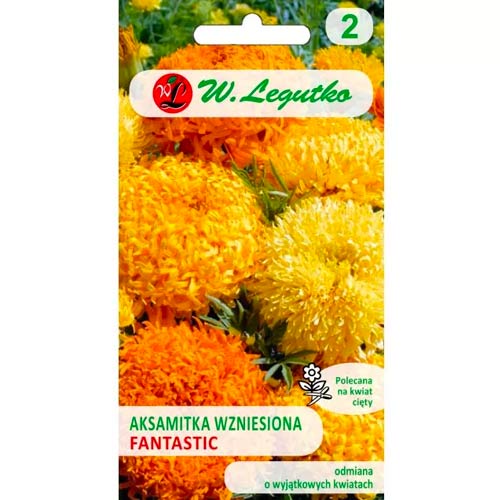 Studentenblume Fantastic gelb mischung Legutko interface.art Bild 1 Studentenblume Fantastic gelb mischung Legutko interface.image 1 interface.art 69554