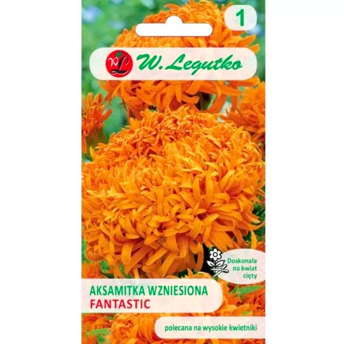 Studentenblume Fantastic mischung Legutko interface.image 1 interface.art 78507