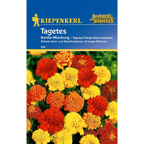 Tagetes Bonita Mischung interface.art Bild 1 Tagetes Bonita Mischung interface.image 1 interface.art 86343
