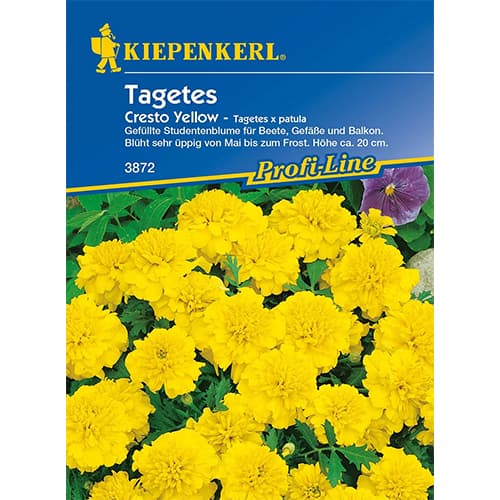 Tagetes Cresto Yellow interface.image 1 interface.art 86345