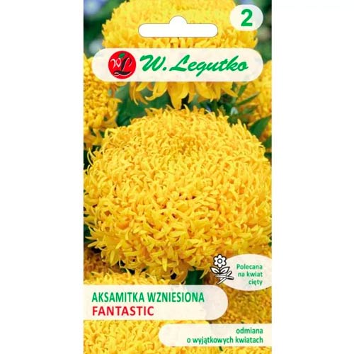 Tagetes Fantastic gelb Legutko interface.image 1 interface.art 96692