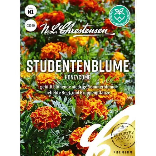 Steudentenblume Honeycomb interface.image 1 interface.art 96455