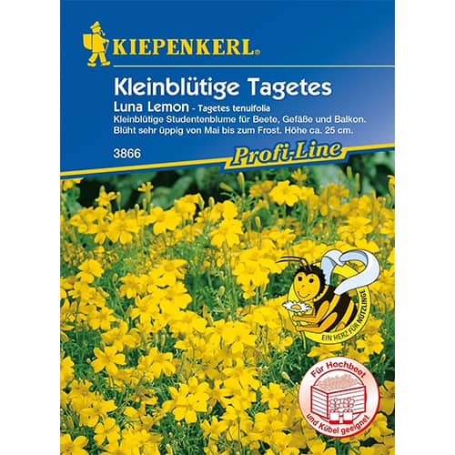 Tagetes Luna Lemon interface.image 1 interface.art 86347