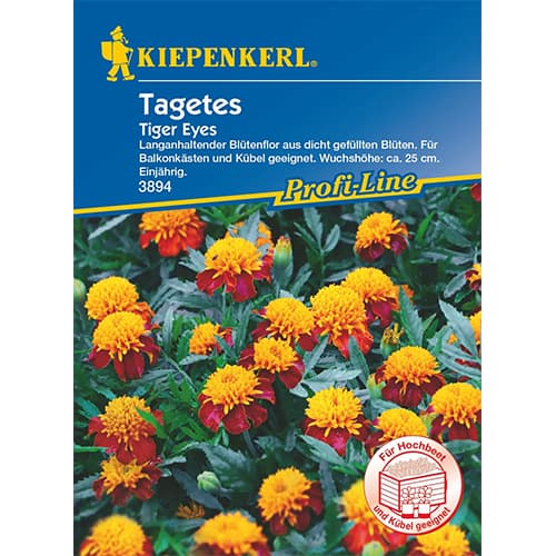 Tagetes Tiger Eyes interface.image 1 interface.art 87266