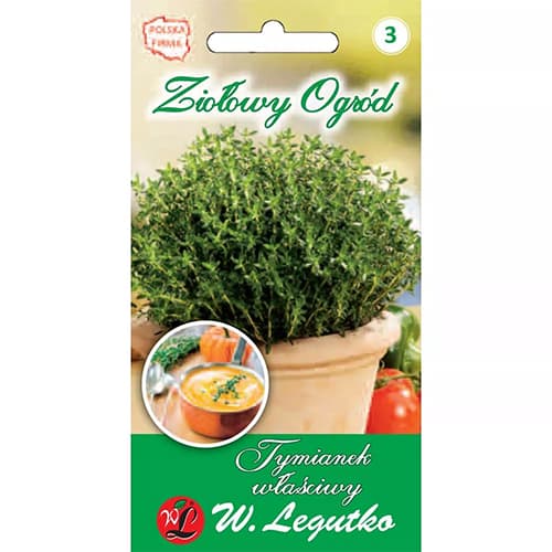 Thymian Legutko interface.image 1 interface.art 69690