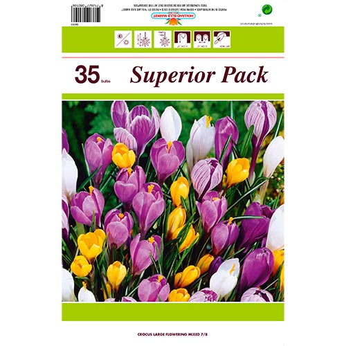 Tolles Angebot! Botanischer Krokus Farbmischung, Set von 35 Sorten interface.art Bild 1 Tolles Angebot! Botanischer Krokus Farbmischung, Set von 35 Sorten interface.image 1 interface.art 67911