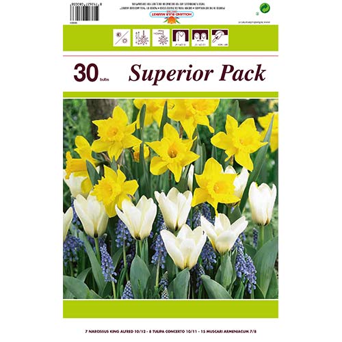 Tolles Angebot! Narzisse, Tulpe, Armenischen Traubenhyazinthe, Set von 30 Sorten interface.art Bild 1 Tolles Angebot! Narzisse, Tulpe, Armenischen Traubenhyazinthe, Set von 30 Sorten interface.image 1 interface.art 67902