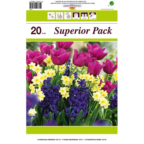 Tolles Angebot! Tulpe, Narzisse, Hyazinthe, Set von 30 Knollen interface.art Bild 1 Tolles Angebot! Tulpe, Narzisse, Hyazinthe, Set von 30 Knollen interface.image 1 interface.art 67905