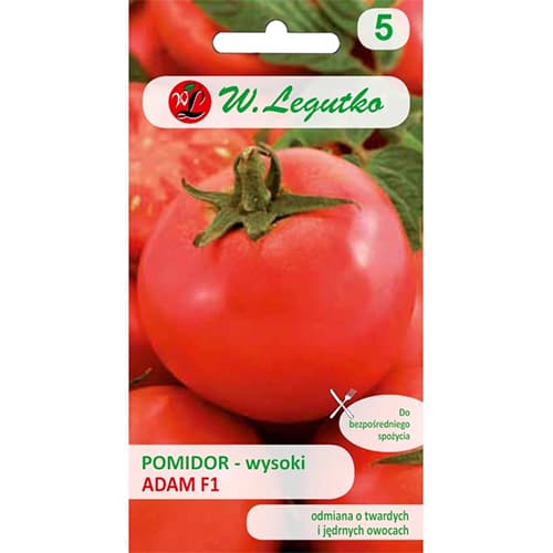 Tomate Adam F1 interface.art Bild 1 Tomate Adam F1 interface.image 1 interface.art 86864